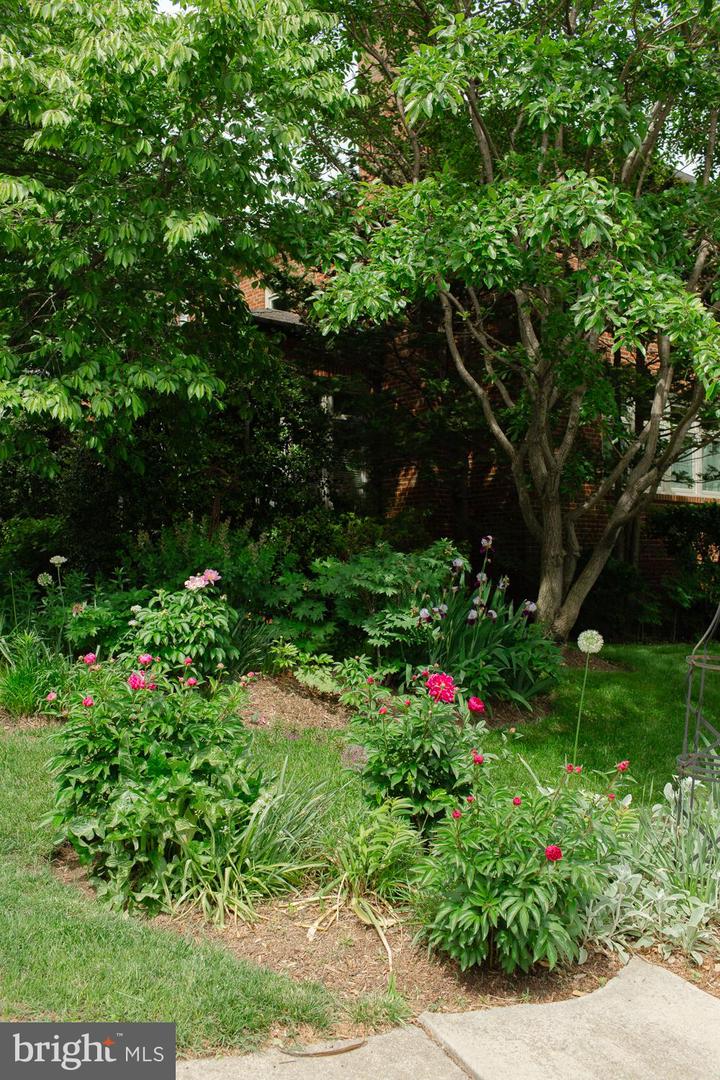 1755 UPSHUR ST NW, WASHINGTON, District Of Columbia 20011, 6 Bedrooms Bedrooms, ,4 BathroomsBathrooms,Residential,For sale,1755 UPSHUR ST NW,DCDC2247486 MLS # DCDC2247486