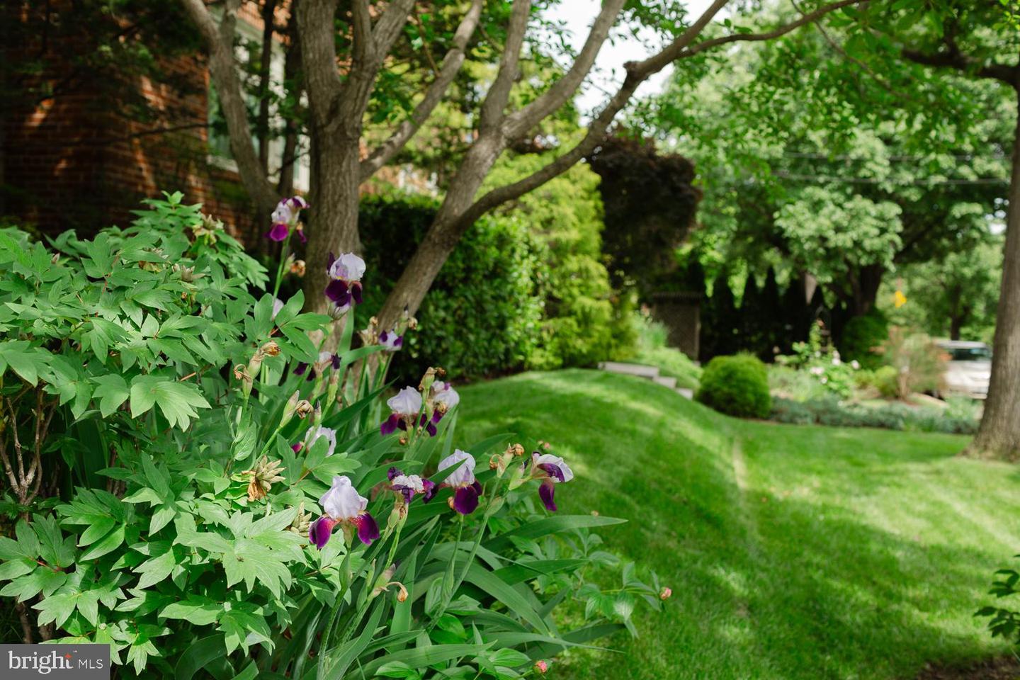 1755 UPSHUR ST NW, WASHINGTON, District Of Columbia 20011, 6 Bedrooms Bedrooms, ,4 BathroomsBathrooms,Residential,For sale,1755 UPSHUR ST NW,DCDC2247486 MLS # DCDC2247486