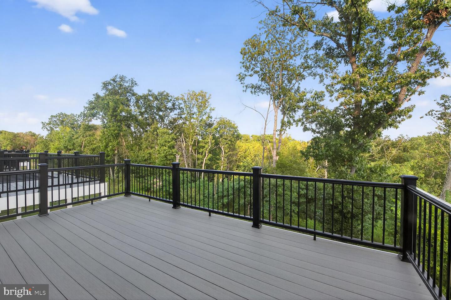 153 LEATHER FLOWER DR, LAKE FREDERICK, Virginia 22630, 4 Bedrooms Bedrooms, ,3 BathroomsBathrooms,Residential,For sale,153 LEATHER FLOWER DR,VAFV2039754 MLS # VAFV2039754