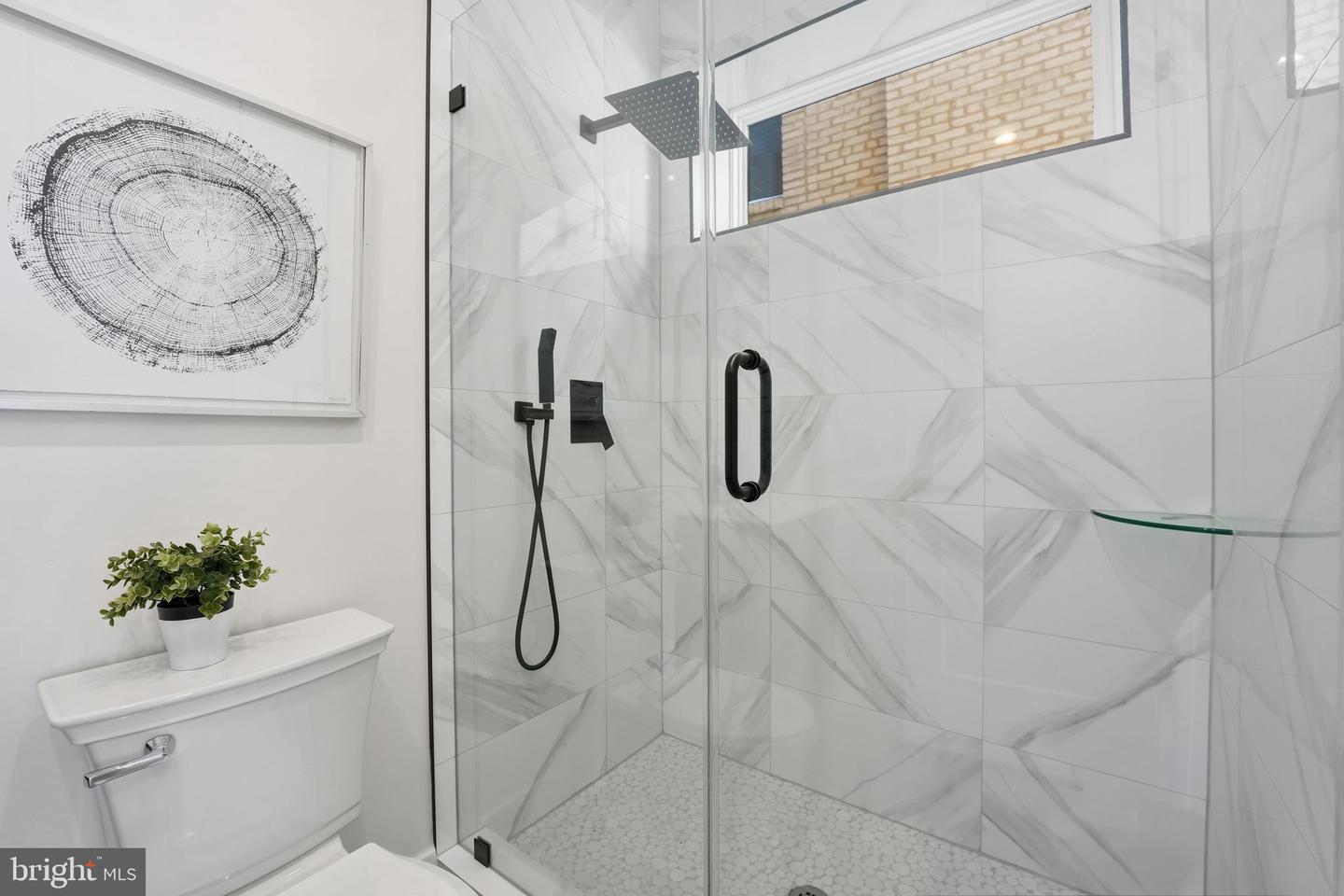 3916 8TH ST NW #B, WASHINGTON, District Of Columbia 20011, 3 Bedrooms Bedrooms, ,3 BathroomsBathrooms,Residential,For sale,3916 8TH ST NW #B,DCDC2247978 MLS # DCDC2247978