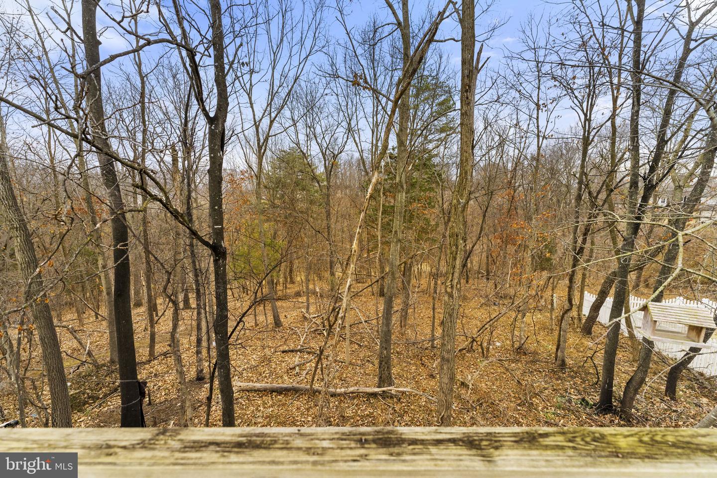 110 WARE PL, WINCHESTER, Virginia 22602, 3 Bedrooms Bedrooms, ,2 BathroomsBathrooms,Residential,For sale,110 WARE PL,VAFV2039854 MLS # VAFV2039854