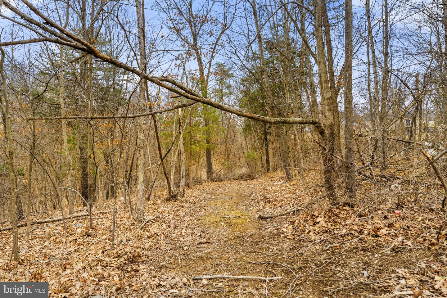 110 WARE PL, WINCHESTER, Virginia 22602, 3 Bedrooms Bedrooms, ,2 BathroomsBathrooms,Residential,For sale,110 WARE PL,VAFV2039854 MLS # VAFV2039854