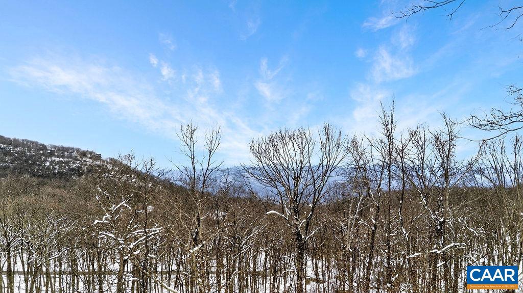 38 FIRTREE DR, WINTERGREEN, Virginia 22967, 2 Bedrooms Bedrooms, ,2 BathroomsBathrooms,Residential,For sale,38 FIRTREE DR,673865 MLS # 673865