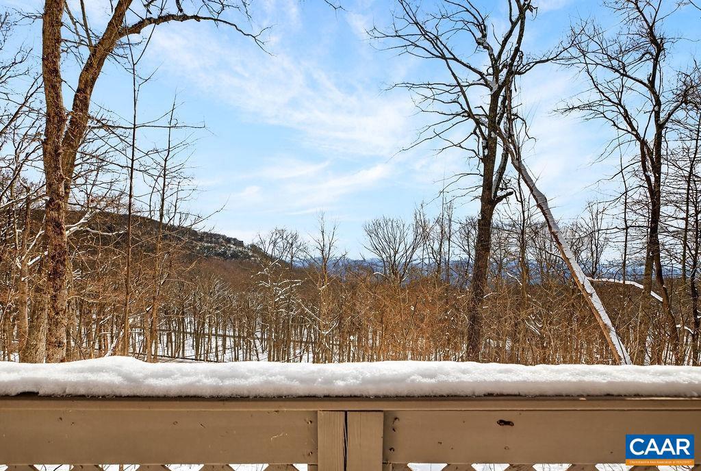 38 FIRTREE DR, WINTERGREEN, Virginia 22967, 2 Bedrooms Bedrooms, ,2 BathroomsBathrooms,Residential,For sale,38 FIRTREE DR,673865 MLS # 673865