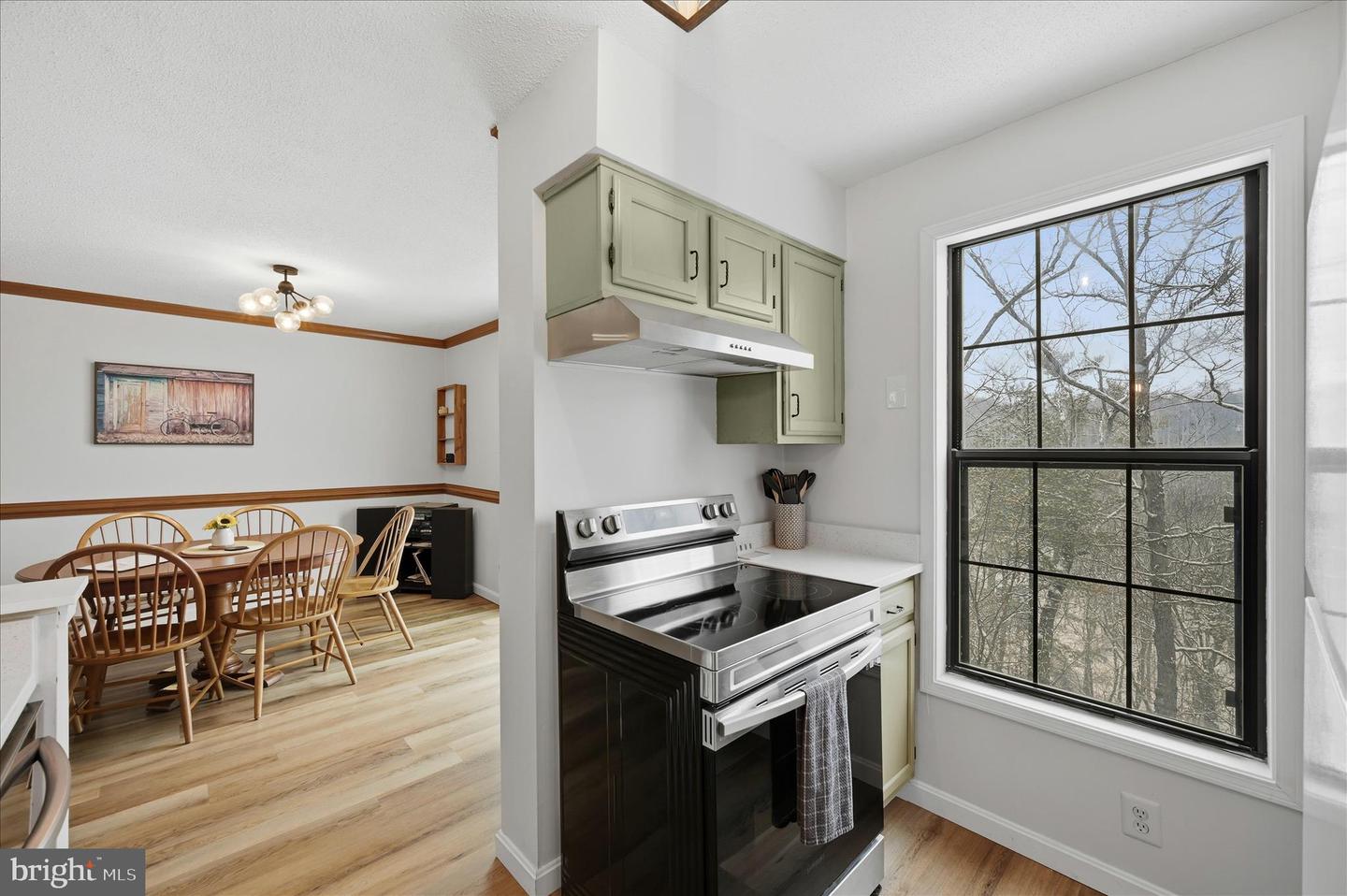 475-A KING ST A #13 A, BASYE, Virginia 22810, 4 Bedrooms Bedrooms, ,4 BathroomsBathrooms,Residential,For sale,475-A KING ST A #13 A,VASH2013706 MLS # VASH2013706