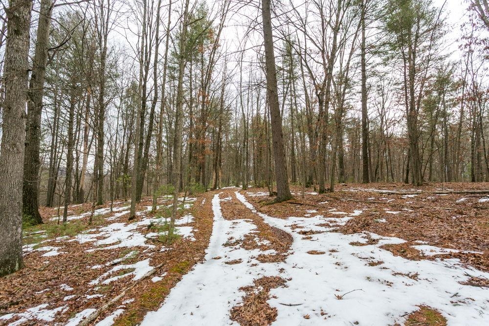 Lot 44 RAINBOW RIDGE RD, BERGTON, Virginia 22811, ,Land,Lot 44 RAINBOW RIDGE RD,673902 MLS # 673902