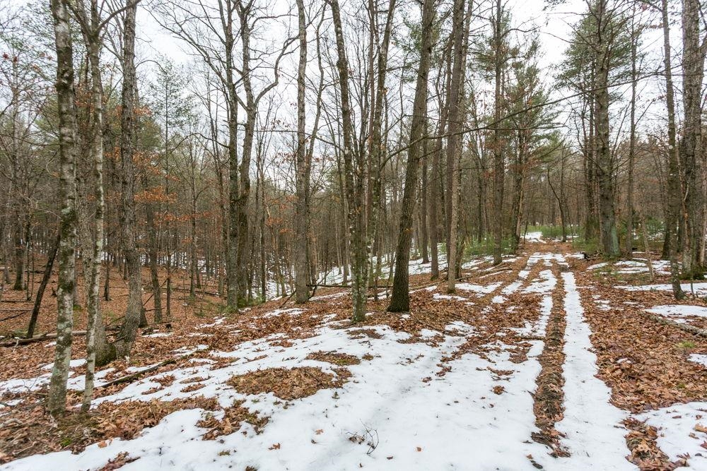 Lot 44 RAINBOW RIDGE RD, BERGTON, Virginia 22811, ,Land,Lot 44 RAINBOW RIDGE RD,673902 MLS # 673902