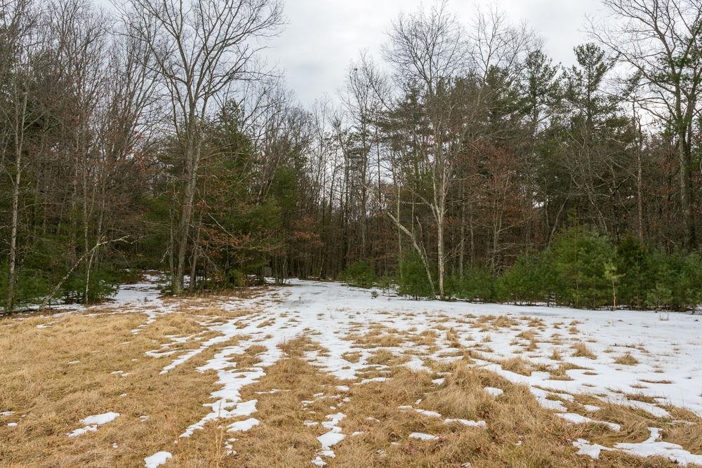 Lot 44 RAINBOW RIDGE RD, BERGTON, Virginia 22811, ,Land,Lot 44 RAINBOW RIDGE RD,673902 MLS # 673902