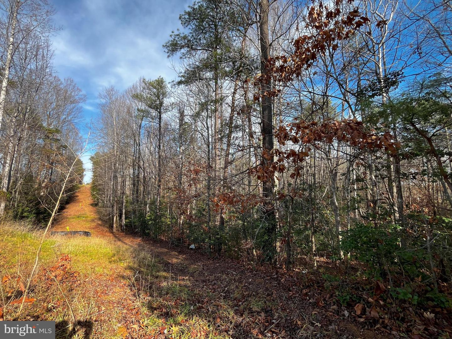 0B MCKENNEY DR, WOODFORD, Virginia 22580, ,Land,For sale,0B MCKENNEY DR,VACV2007180 MLS # VACV2007180