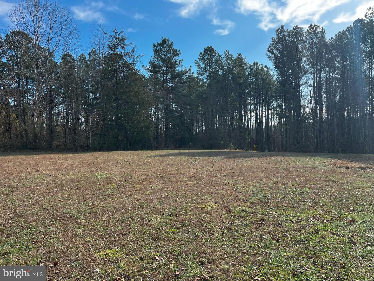 0B MCKENNEY DR, WOODFORD, Virginia 22580, ,Land,For sale,0B MCKENNEY DR,VACV2007180 MLS # VACV2007180