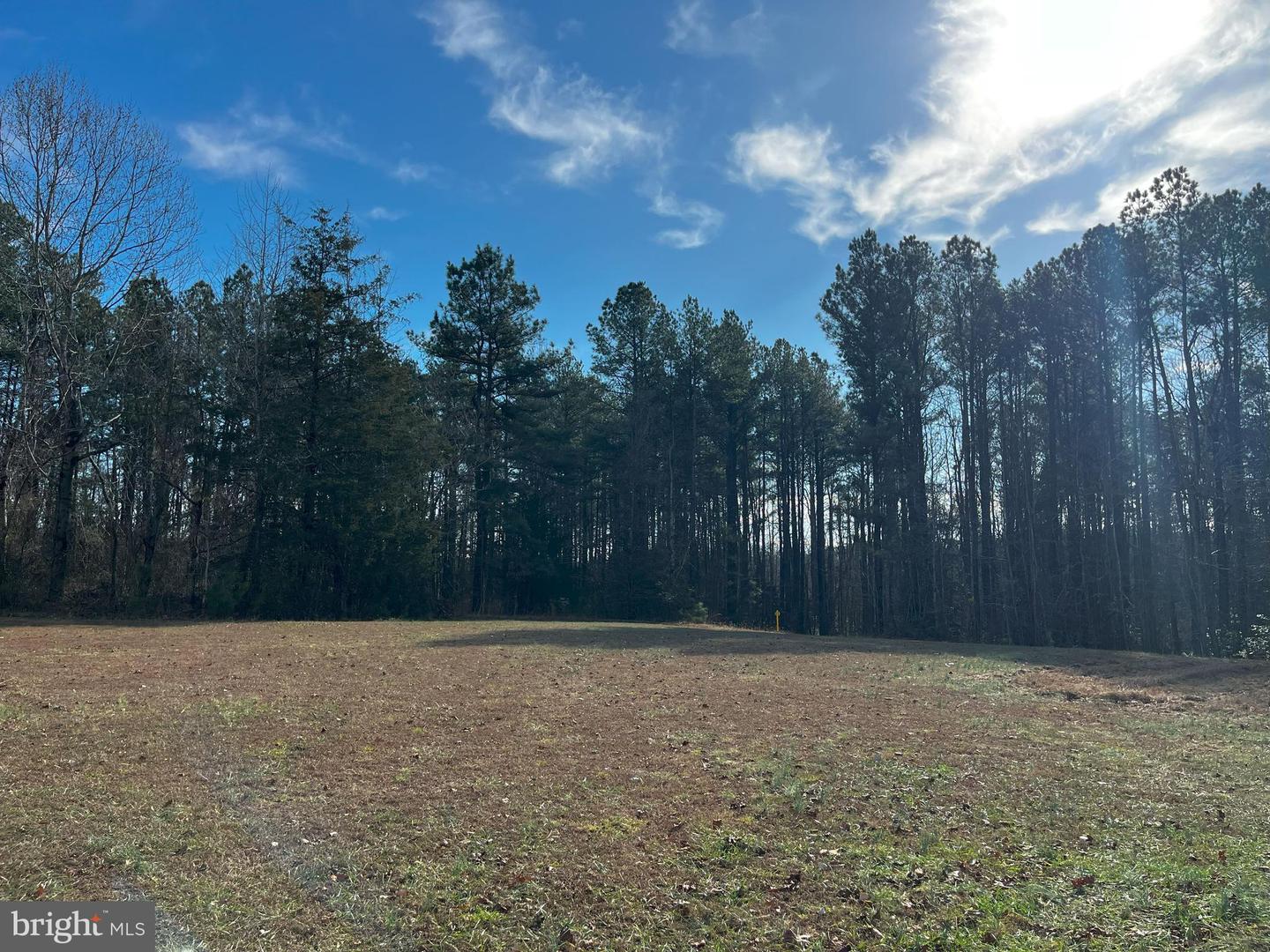 0B MCKENNEY DR, WOODFORD, Virginia 22580, ,Land,For sale,0B MCKENNEY DR,VACV2007180 MLS # VACV2007180