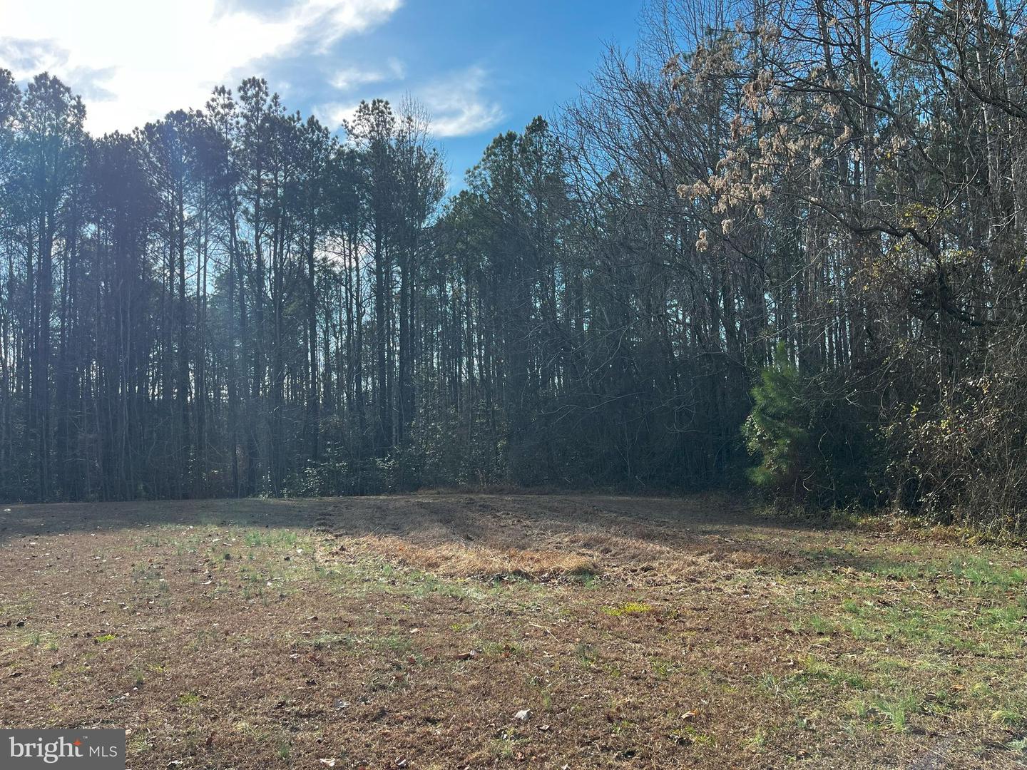 0B MCKENNEY DR, WOODFORD, Virginia 22580, ,Land,For sale,0B MCKENNEY DR,VACV2007180 MLS # VACV2007180