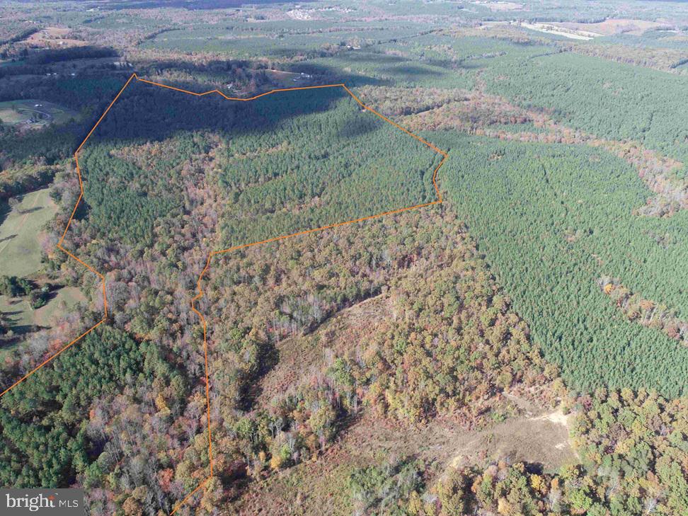 OFF OF SHORES ROAD (TRACT: TANAGER ET2 2020), SCOTTSVILLE, Virginia 24590, ,Farm,For sale,OFF OF SHORES ROAD (TRACT: TANAGER ET2 2020),VAFN2000630 MLS # VAFN2000630