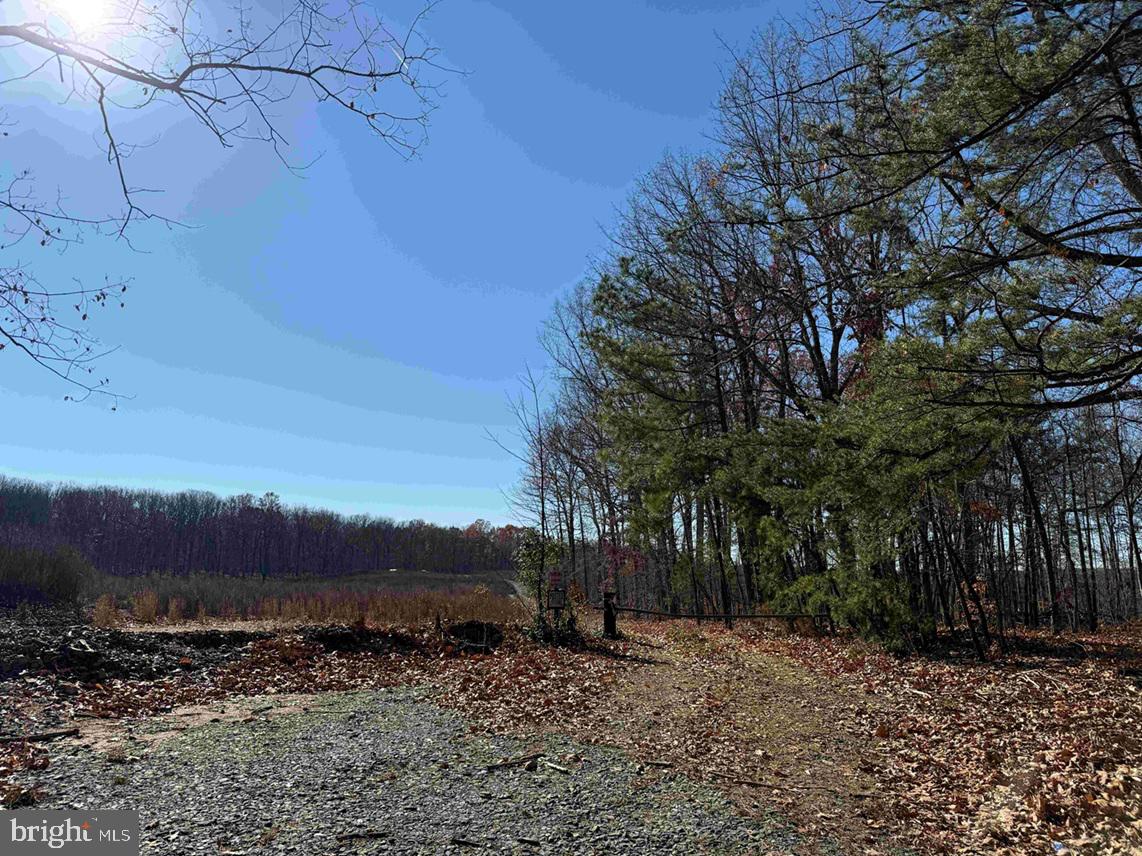 WINNSVILLE DRIVE (TRACT: TANAGER ET2 2021), BREMO BLUFF, Virginia 23022, ,Farm,For sale,WINNSVILLE DRIVE (TRACT: TANAGER ET2 2021),VAFN2000632 MLS # VAFN2000632