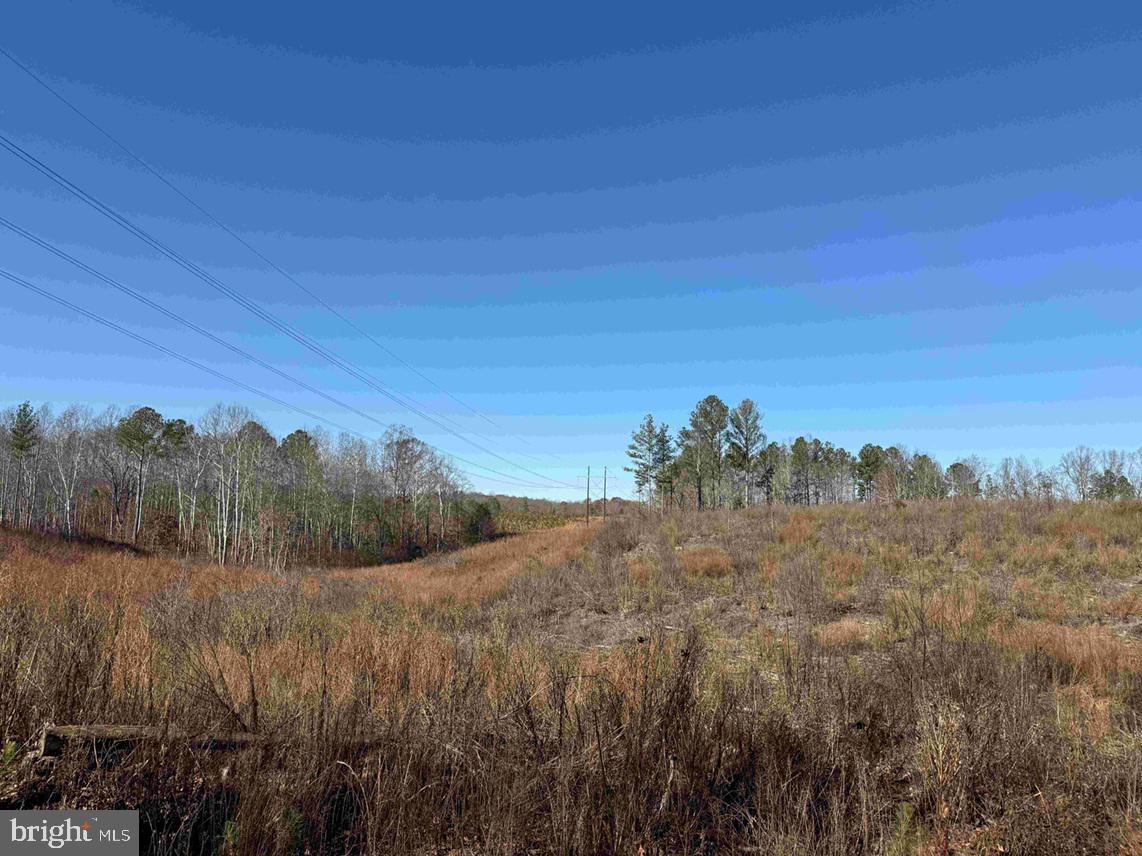 WINNSVILLE DRIVE (TRACT: TANAGER ET2 2021), BREMO BLUFF, Virginia 23022, ,Farm,For sale,WINNSVILLE DRIVE (TRACT: TANAGER ET2 2021),VAFN2000632 MLS # VAFN2000632