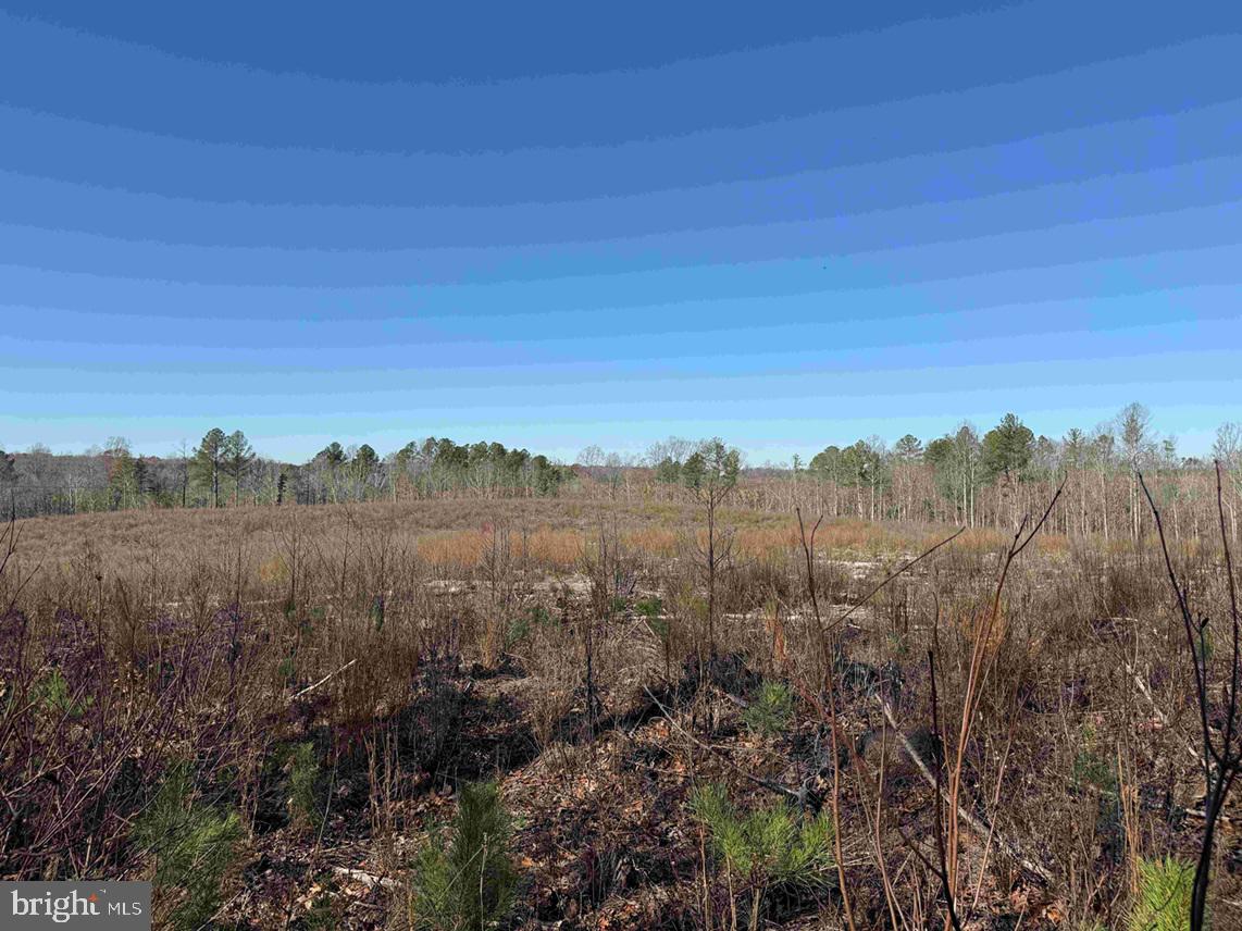 WINNSVILLE DRIVE (TRACT: TANAGER ET2 2021), BREMO BLUFF, Virginia 23022, ,Farm,For sale,WINNSVILLE DRIVE (TRACT: TANAGER ET2 2021),VAFN2000632 MLS # VAFN2000632