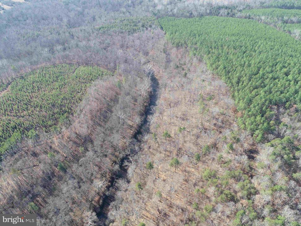 OFF OF DIANA MILL ROAD (TRACT: TANAGER ET2 2023, ARVONIA, Virginia 23004, ,Farm,For sale,OFF OF DIANA MILL ROAD (TRACT: TANAGER ET2 2023,VABH2000276 MLS # VABH2000276