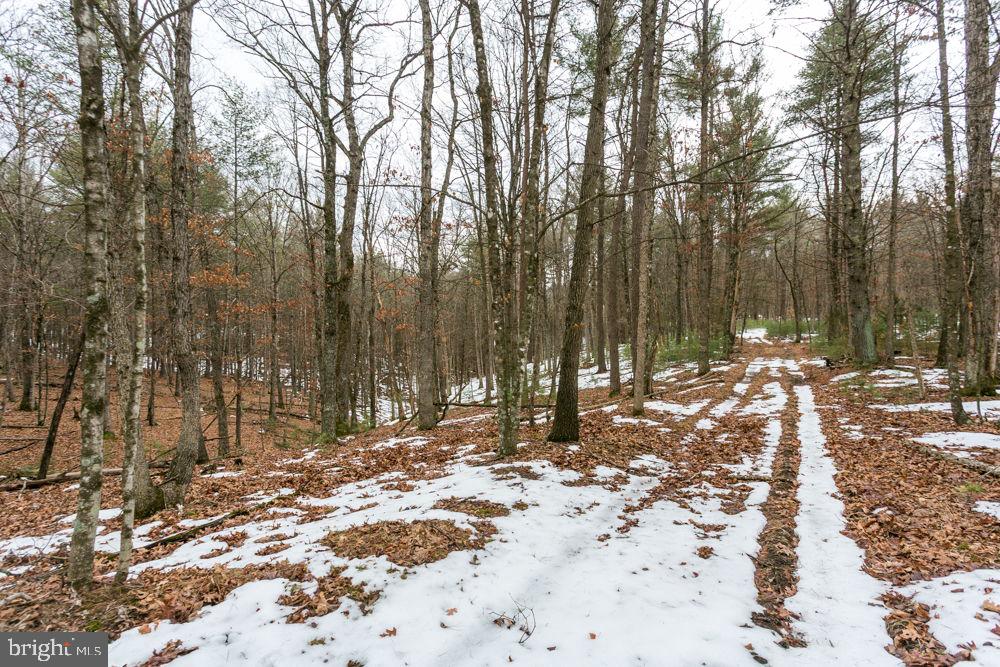 LOT 44 RAINBOW RIDGE RD, BERGTON, Virginia 22811, ,Land,For sale,LOT 44 RAINBOW RIDGE RD,VARO2002878 MLS # VARO2002878