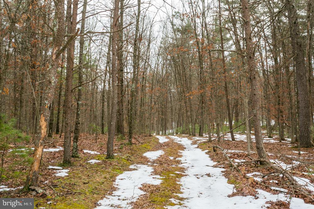 LOT 44 RAINBOW RIDGE RD, BERGTON, Virginia 22811, ,Land,For sale,LOT 44 RAINBOW RIDGE RD,VARO2002878 MLS # VARO2002878