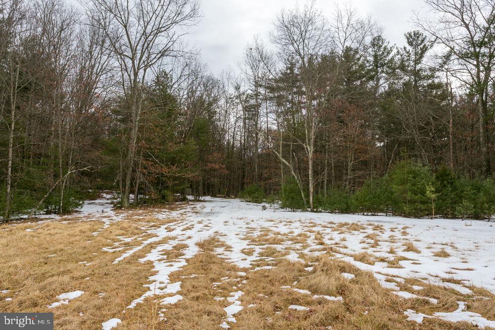 LOT 44 RAINBOW RIDGE RD, BERGTON, Virginia 22811, ,Land,For sale,LOT 44 RAINBOW RIDGE RD,VARO2002878 MLS # VARO2002878