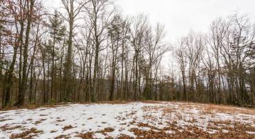 LOT 44 RAINBOW RIDGE RD, BERGTON, Virginia 22811, ,Land,For sale,LOT 44 RAINBOW RIDGE RD,VARO2002878 MLS # VARO2002878