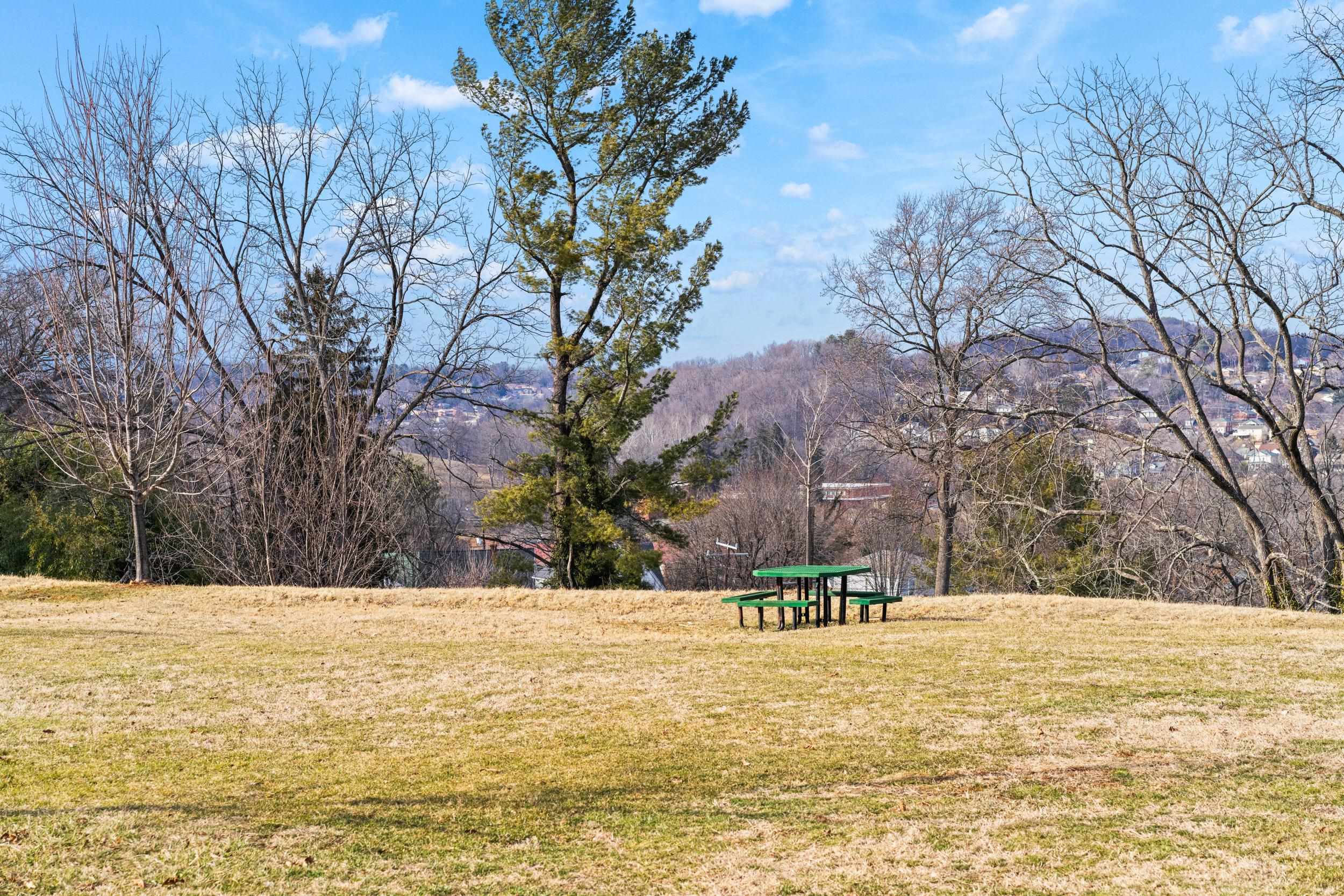 317 N MADISON ST, STAUNTON, Virginia 24401, 3 Bedrooms Bedrooms, ,2 BathroomsBathrooms,Residential,317 N MADISON ST,673895 MLS # 673895