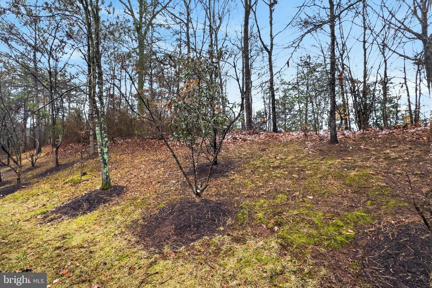 9725 CHESHIRE RIDGE CIR, MANASSAS, Virginia 20110, 3 Bedrooms Bedrooms, ,2 BathroomsBathrooms,Residential,For sale,9725 CHESHIRE RIDGE CIR,VAPW2112176 MLS # VAPW2112176