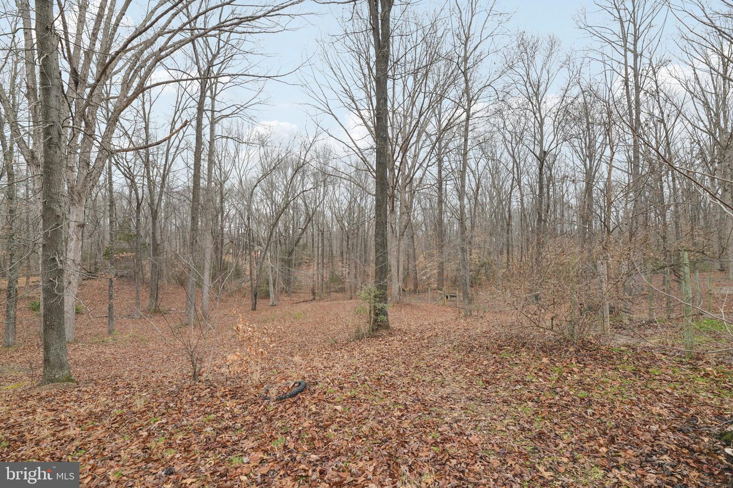 6615 STANLEY RD, KING GEORGE, Virginia 22485, 3 Bedrooms Bedrooms, ,2 BathroomsBathrooms,Residential,For sale,6615 STANLEY RD,VAKG2007666 MLS # VAKG2007666