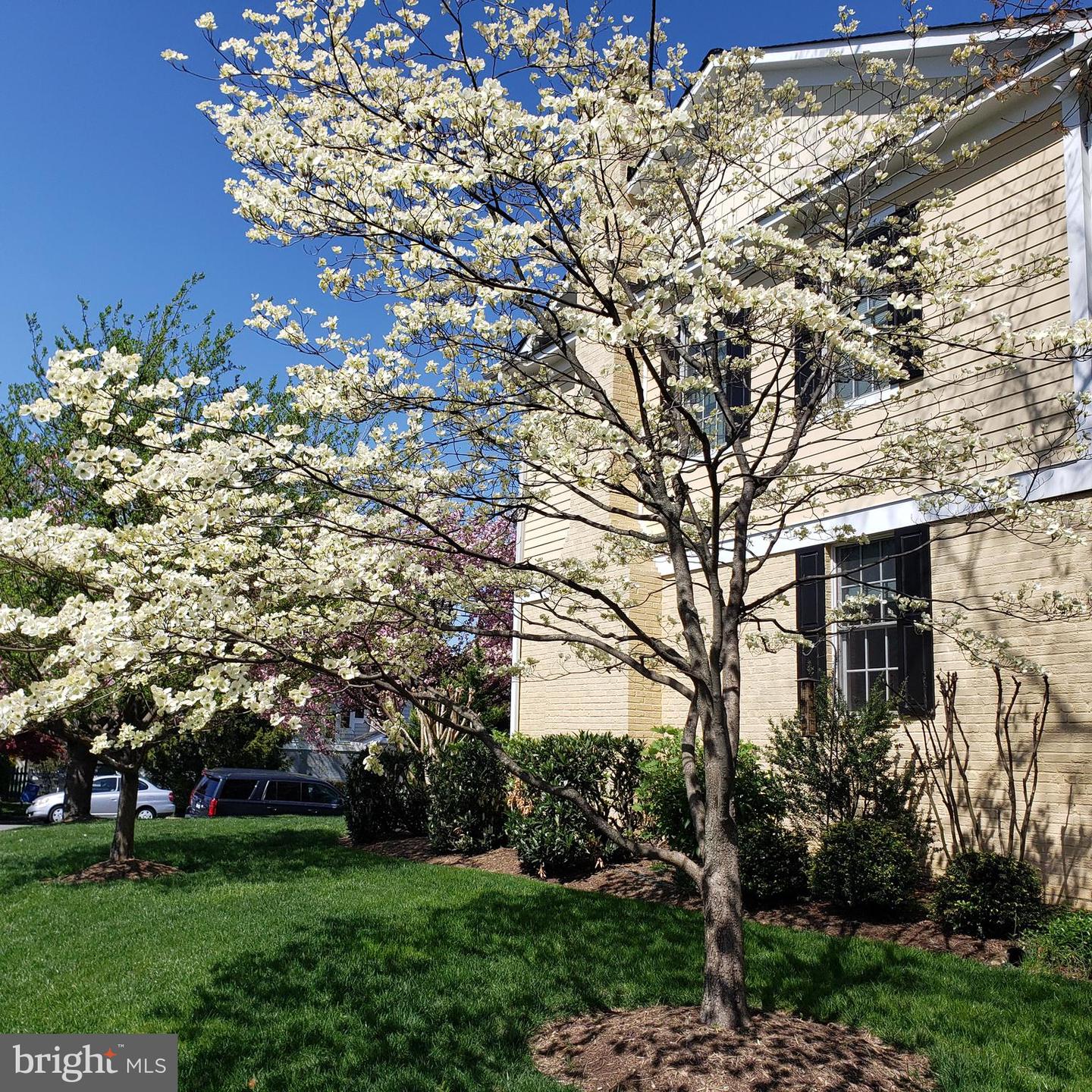 5414 20TH ST N, ARLINGTON, Virginia 22205, 6 Bedrooms Bedrooms, ,4 BathroomsBathrooms,Residential,For sale,5414 20TH ST N,VAAR2069220 MLS # VAAR2069220