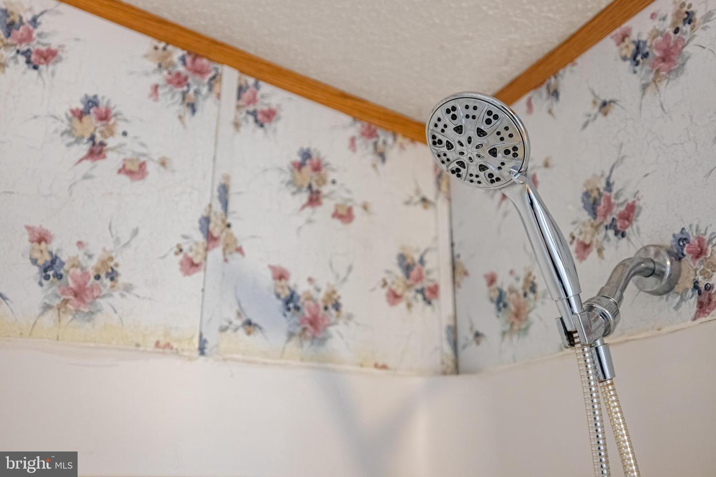 38 MAGGIE LN, MOUNT SOLON, Virginia 22843, 3 Bedrooms Bedrooms, ,2 BathroomsBathrooms,Residential,For sale,38 MAGGIE LN,VAAG2002750 MLS # VAAG2002750