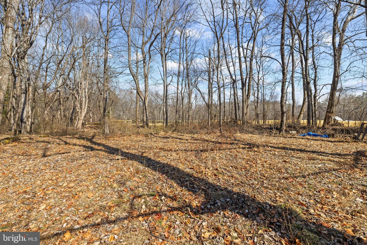 38 MAGGIE LN, MOUNT SOLON, Virginia 22843, 3 Bedrooms Bedrooms, ,2 BathroomsBathrooms,Residential,For sale,38 MAGGIE LN,VAAG2002750 MLS # VAAG2002750