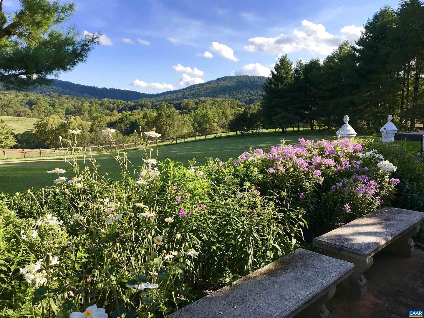 1293 HAMMOCKS GAP RD, CHARLOTTESVILLE, Virginia 22911, 5 Bedrooms Bedrooms, ,5 BathroomsBathrooms,Residential,For sale,1293 HAMMOCKS GAP RD,673639 MLS # 673639 1293 HAMMOCKS GAP RD, CHARLOTTESVILLE, Virginia 22911, 5 Bedrooms Bedrooms, ,5 BathroomsBathrooms,Residential,For sale,1293 HAMMOCKS GAP RD,673639 MLS # 673639