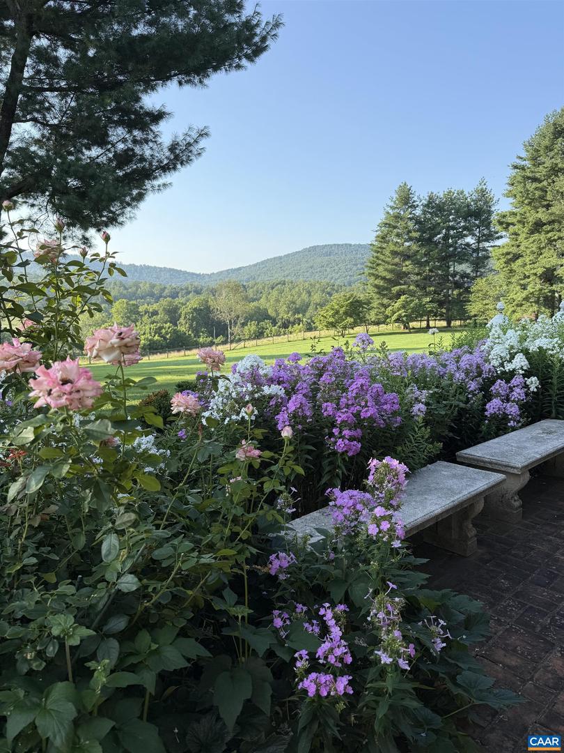 1293 HAMMOCKS GAP RD, CHARLOTTESVILLE, Virginia 22911, 5 Bedrooms Bedrooms, ,5 BathroomsBathrooms,Residential,For sale,1293 HAMMOCKS GAP RD,673639 MLS # 673639 1293 HAMMOCKS GAP RD, CHARLOTTESVILLE, Virginia 22911, 5 Bedrooms Bedrooms, ,5 BathroomsBathrooms,Residential,For sale,1293 HAMMOCKS GAP RD,673639 MLS # 673639