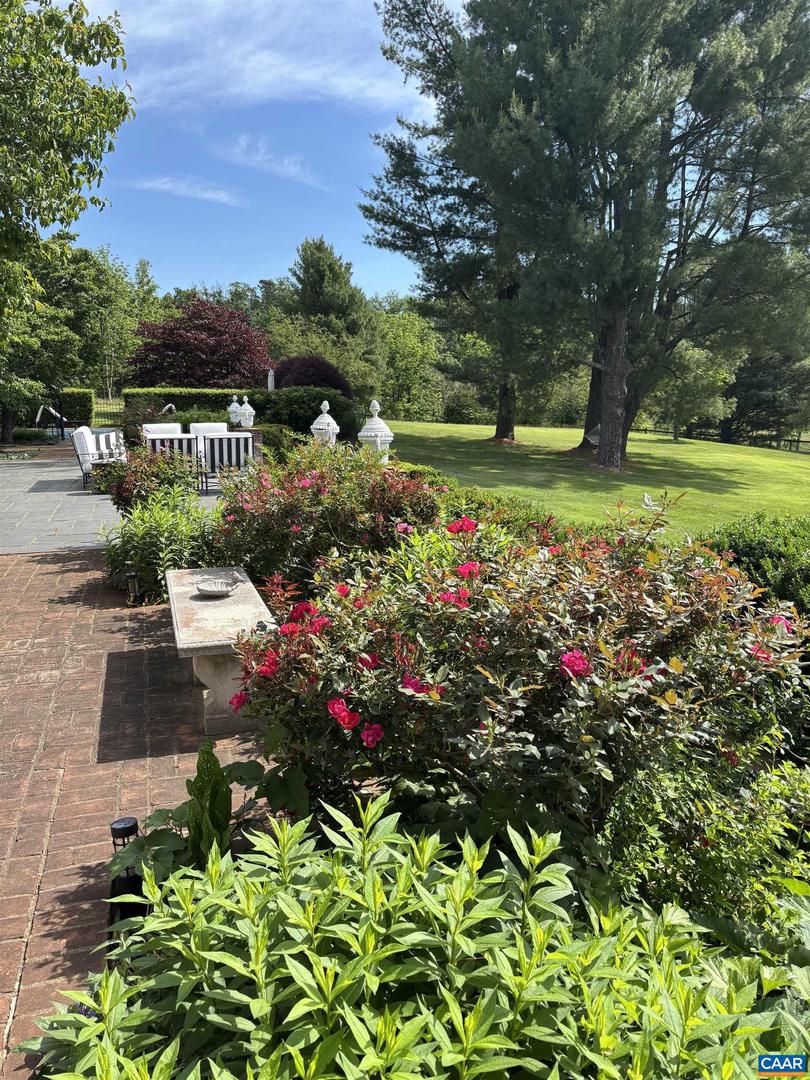 1293 HAMMOCKS GAP RD, CHARLOTTESVILLE, Virginia 22911, 5 Bedrooms Bedrooms, ,5 BathroomsBathrooms,Residential,For sale,1293 HAMMOCKS GAP RD,673639 MLS # 673639 1293 HAMMOCKS GAP RD, CHARLOTTESVILLE, Virginia 22911, 5 Bedrooms Bedrooms, ,5 BathroomsBathrooms,Residential,For sale,1293 HAMMOCKS GAP RD,673639 MLS # 673639