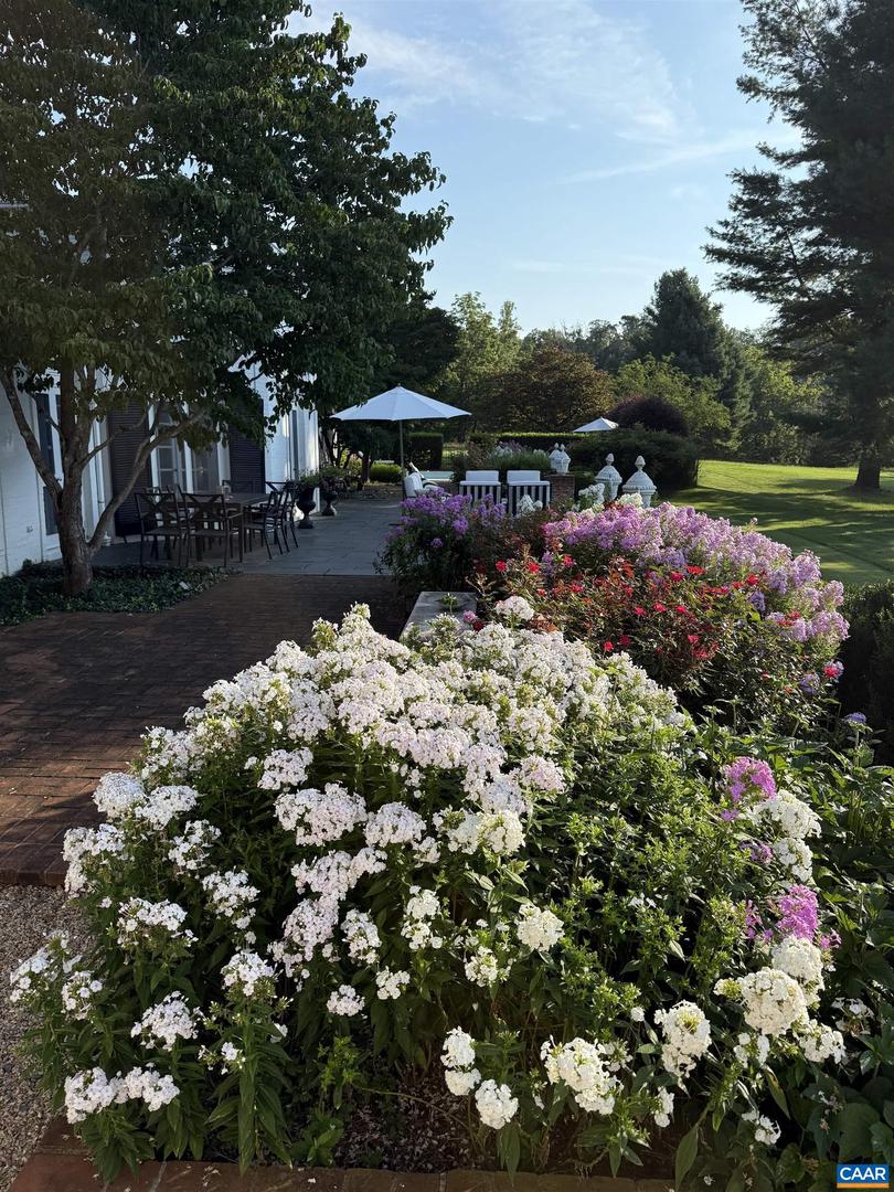 1293 HAMMOCKS GAP RD, CHARLOTTESVILLE, Virginia 22911, 5 Bedrooms Bedrooms, ,5 BathroomsBathrooms,Residential,For sale,1293 HAMMOCKS GAP RD,673639 MLS # 673639 1293 HAMMOCKS GAP RD, CHARLOTTESVILLE, Virginia 22911, 5 Bedrooms Bedrooms, ,5 BathroomsBathrooms,Residential,For sale,1293 HAMMOCKS GAP RD,673639 MLS # 673639