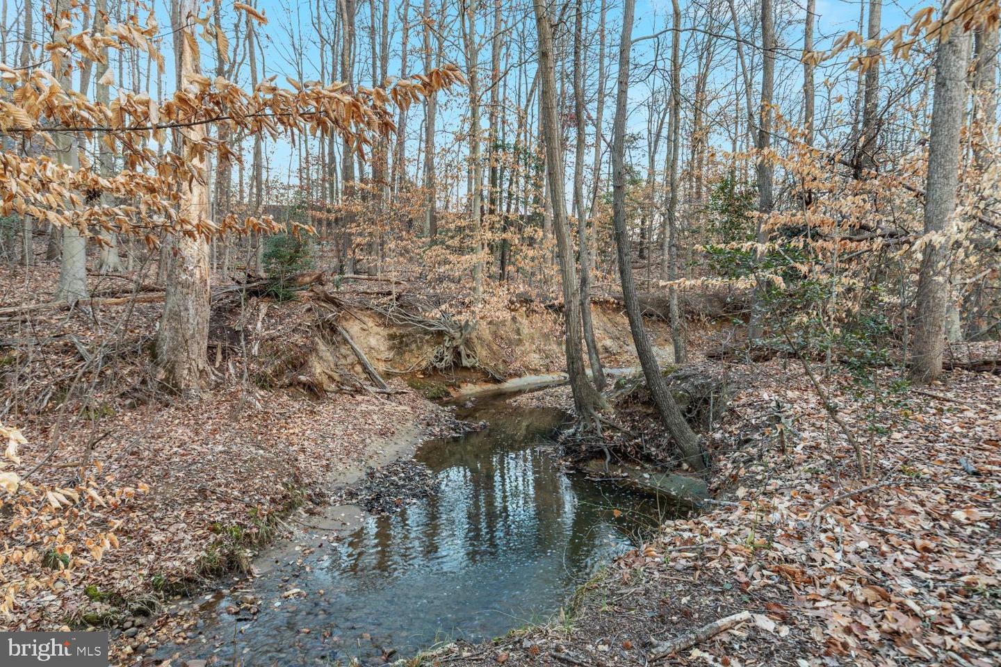 1102 DAMERON CT, FREDERICKSBURG, Virginia 22401, 4 Bedrooms Bedrooms, ,3 BathroomsBathrooms,Residential,For sale,1102 DAMERON CT,VAFB2009724 MLS # VAFB2009724