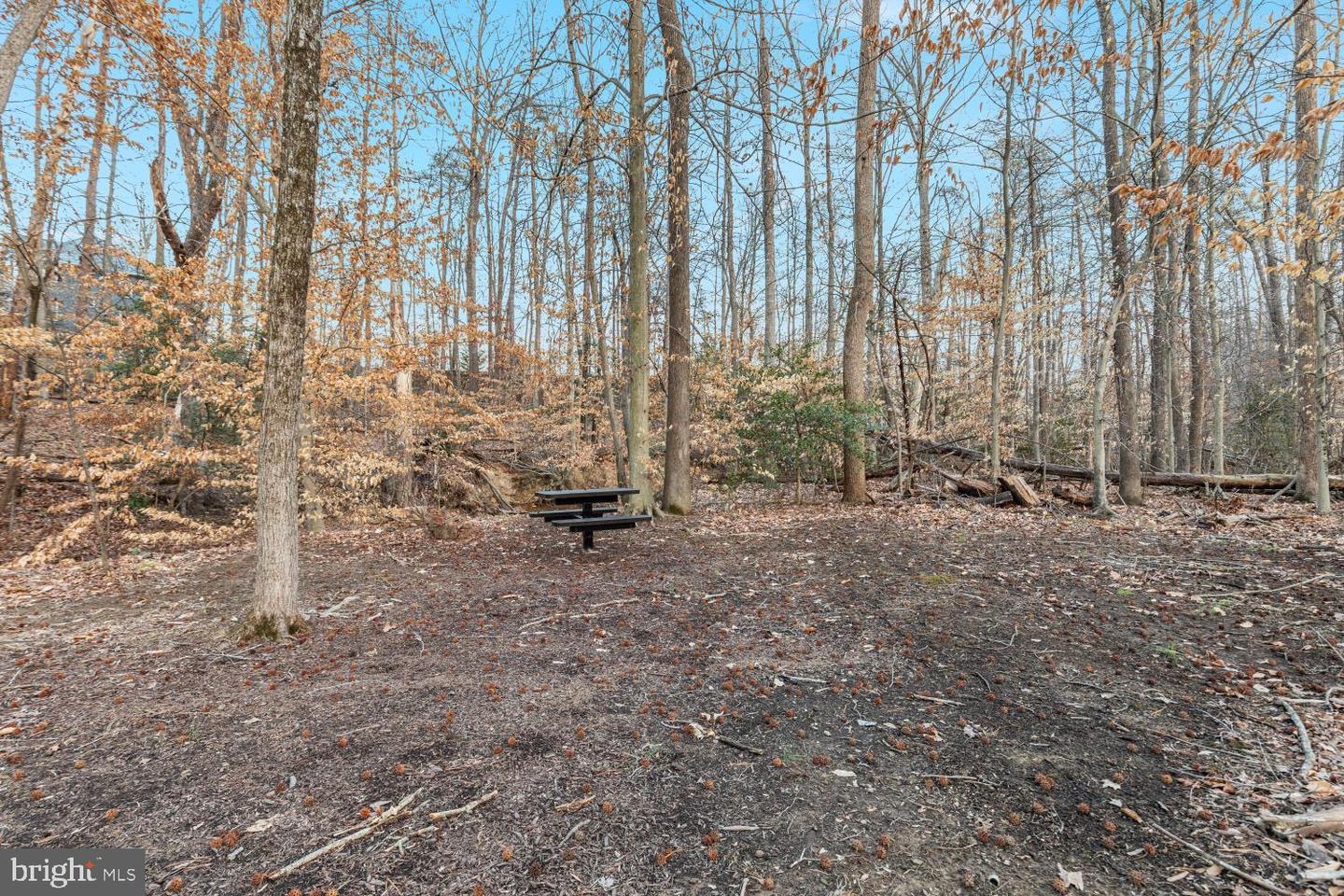 1102 DAMERON CT, FREDERICKSBURG, Virginia 22401, 4 Bedrooms Bedrooms, ,3 BathroomsBathrooms,Residential,For sale,1102 DAMERON CT,VAFB2009724 MLS # VAFB2009724