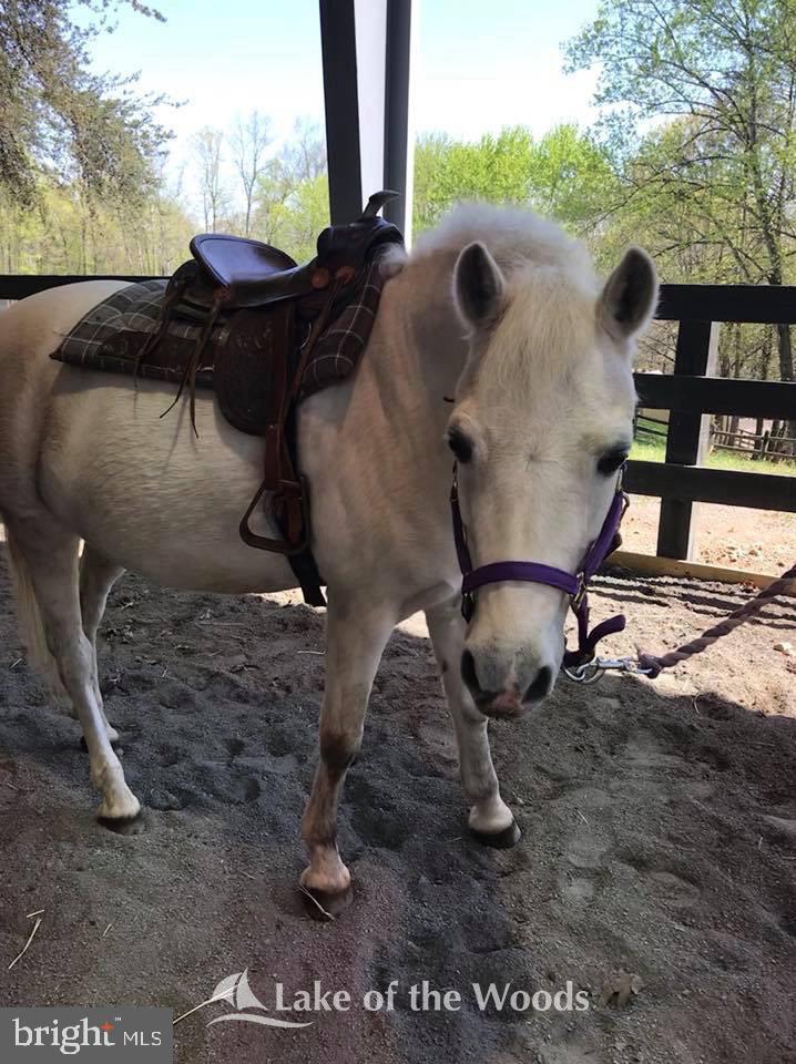 3800 LAKEVIEW PKWY, LOCUST GROVE, Virginia 22508, 3 Bedrooms Bedrooms, ,2 BathroomsBathrooms,Residential,For sale,3800 LAKEVIEW PKWY,VAOR2013466 MLS # VAOR2013466