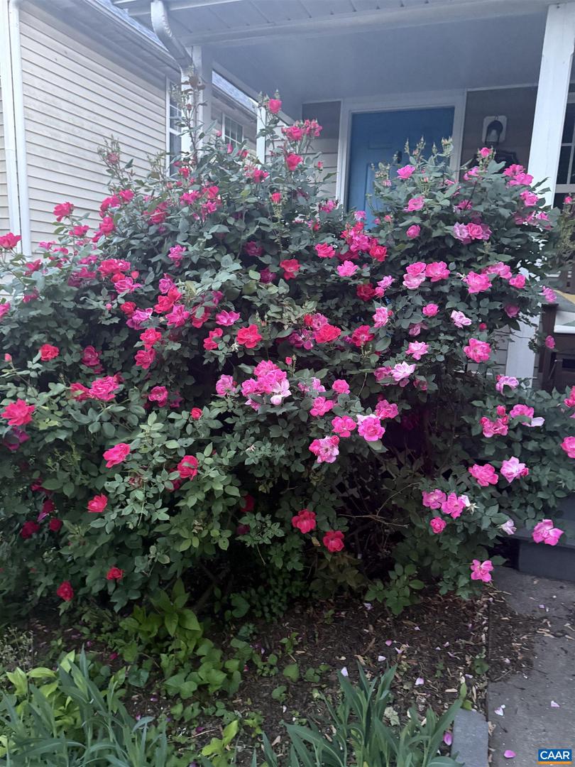 415 NW 12TH ST, CHARLOTTESVILLE, Virginia 22903, 2 Bedrooms Bedrooms, ,1 BathroomBathrooms,Residential,For sale,415 NW 12TH ST,673893 MLS # 673893