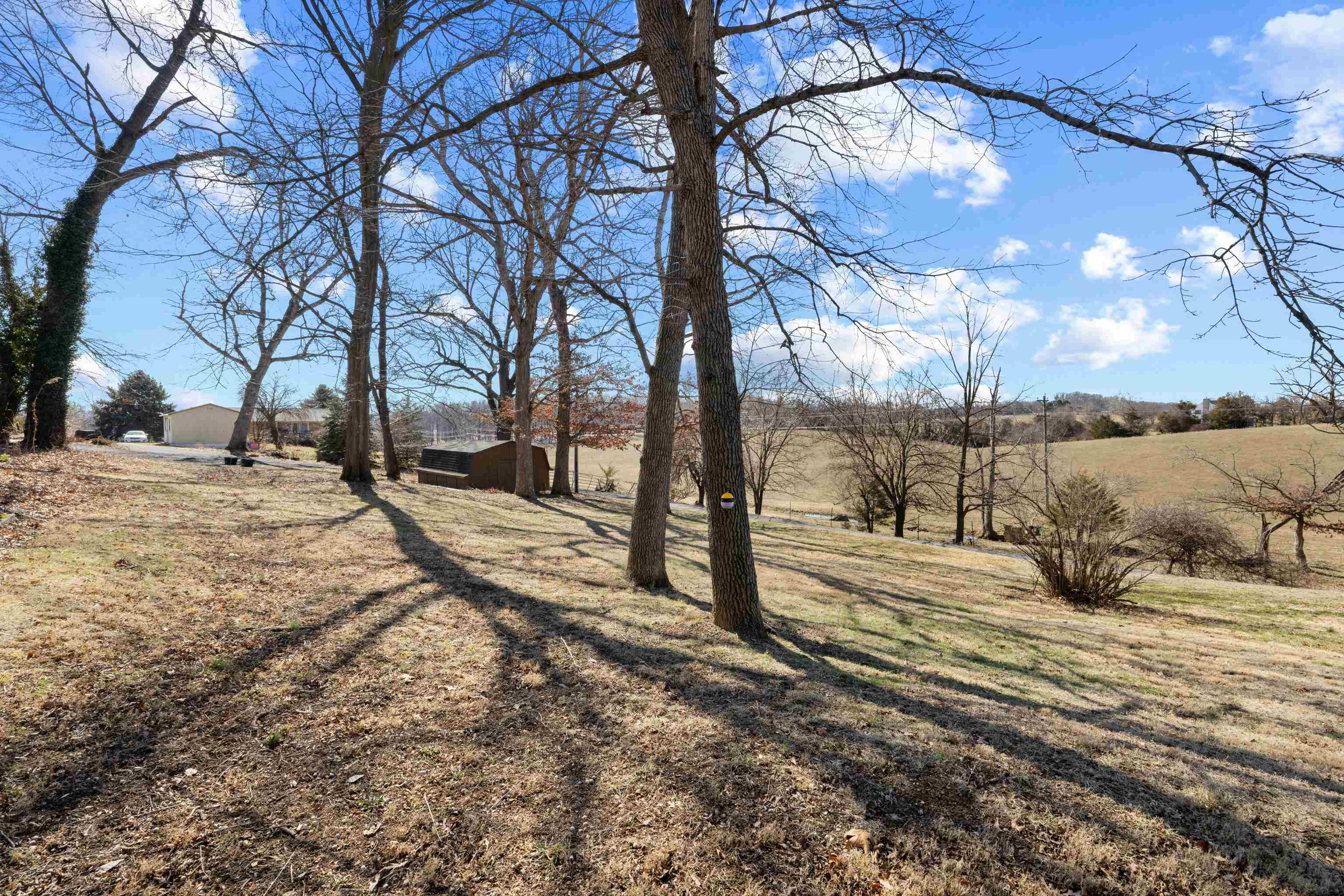 2502 RIDGEDALE RD, ROCKINGHAM, Virginia 22801, ,Residential,2502 RIDGEDALE RD,673919 MLS # 673919