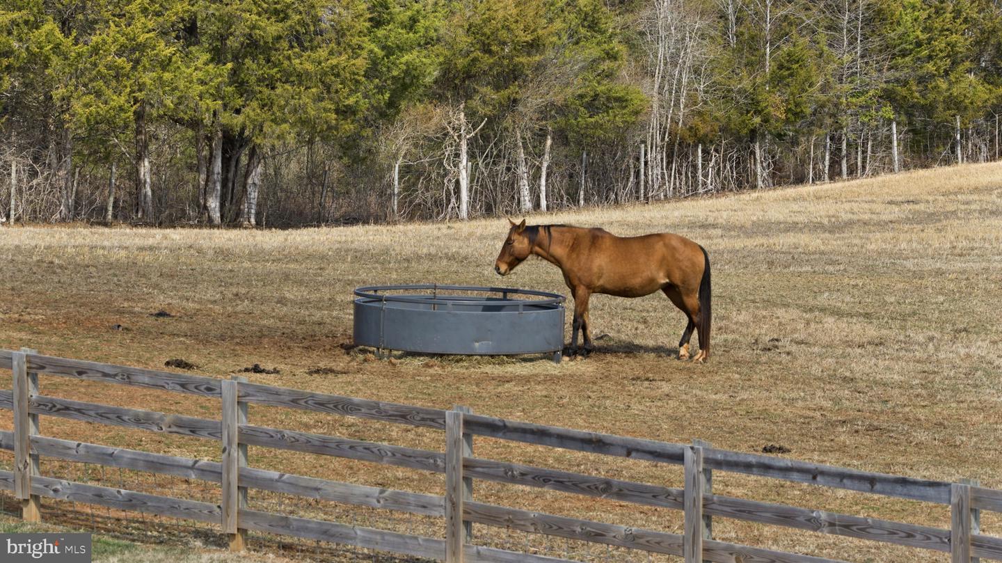 1815 COUNTRY RD, BEAVERDAM, Virginia 23015, 3 Bedrooms Bedrooms, ,2 BathroomsBathrooms,Farm,For sale,1815 COUNTRY RD,VACV2009574 MLS # VACV2009574