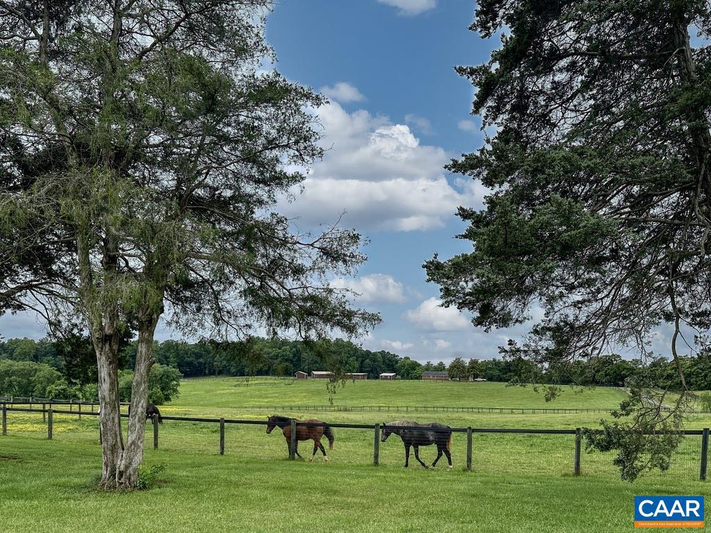 3111 S SEMINOLE TRL, MADISON, Virginia 22727, 5 Bedrooms Bedrooms, ,3 BathroomsBathrooms,Farm,For sale,3111 S SEMINOLE TRL,673910 MLS # 673910