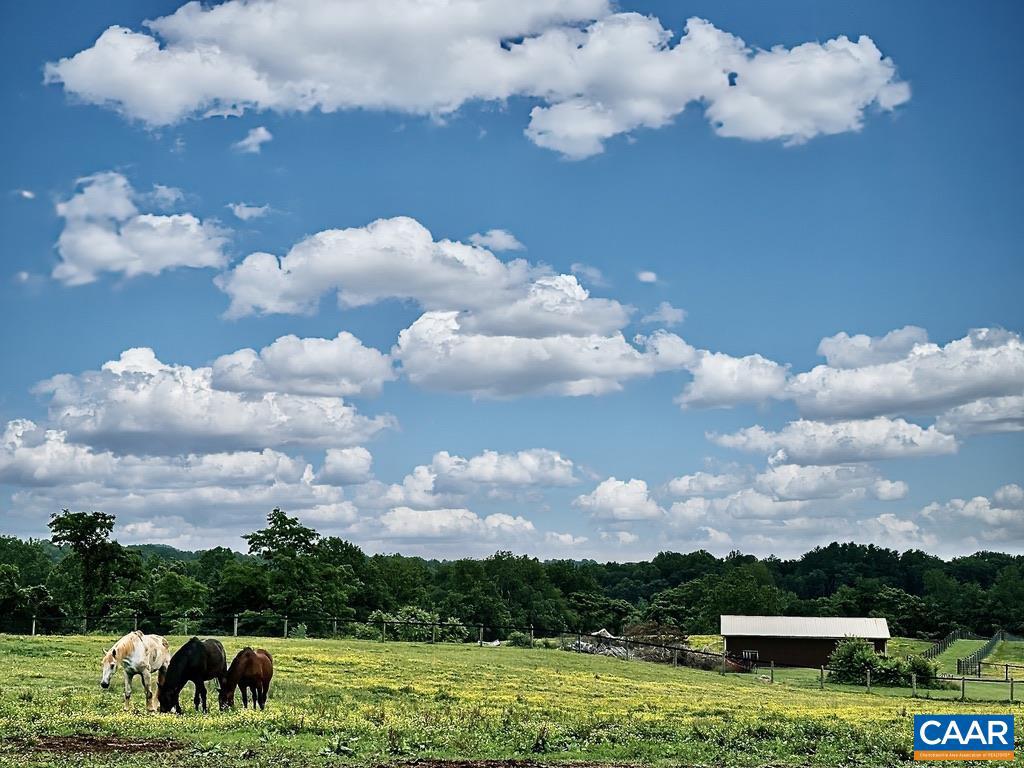 3111 S SEMINOLE TRL, MADISON, Virginia 22727, 5 Bedrooms Bedrooms, ,3 BathroomsBathrooms,Farm,For sale,3111 S SEMINOLE TRL,673910 MLS # 673910