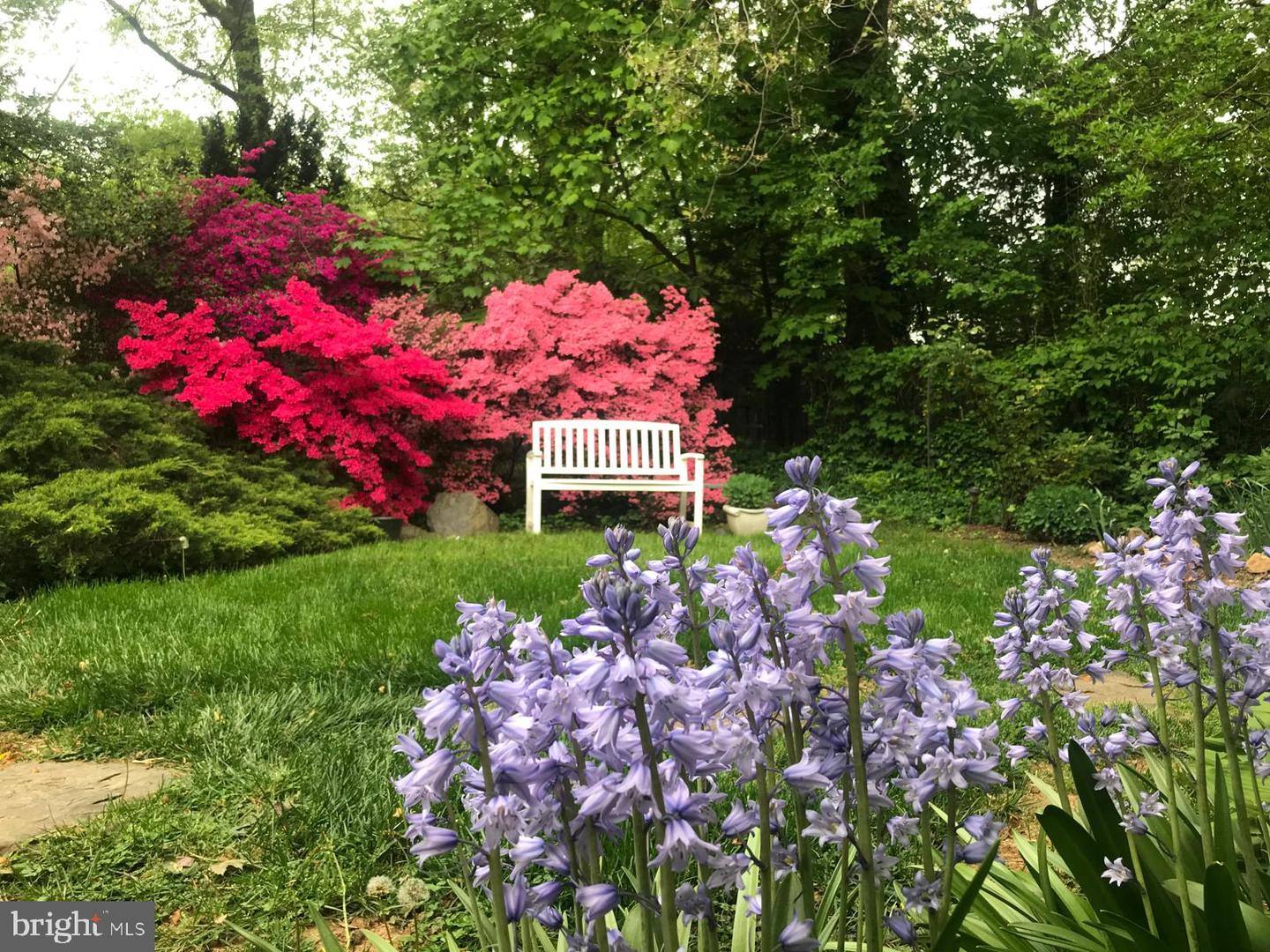 6429 DIVINE ST, MCLEAN, Virginia 22101, ,Land,For sale,6429 DIVINE ST,VAFX2293266 MLS # VAFX2293266