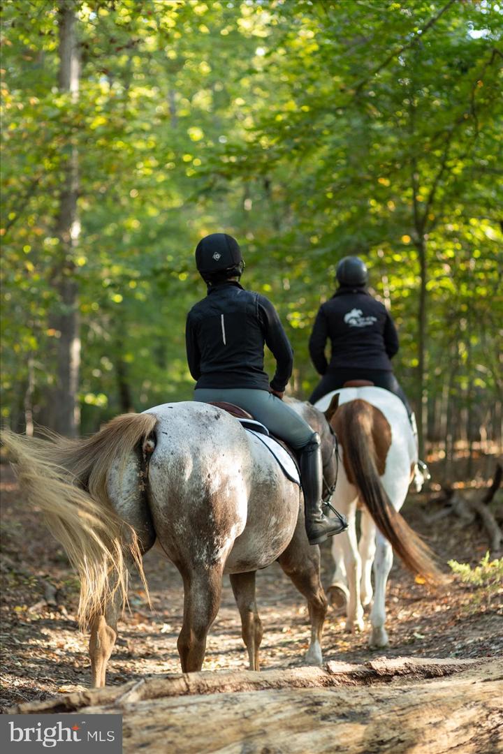 537 MONTICELLO CIR, LOCUST GROVE, Virginia 22508, 5 Bedrooms Bedrooms, 9 Rooms Rooms,3 BathroomsBathrooms,Residential,For sale,537 MONTICELLO CIR,VAOR2012364 MLS # VAOR2012364