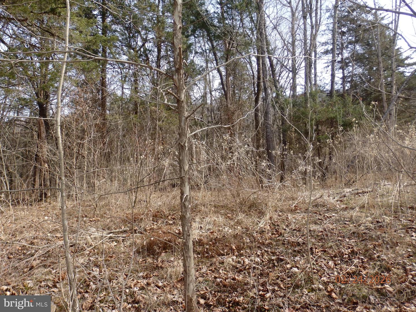 LOT 6 PHASE 1 STONEWALL, WOODSTOCK, Virginia 22664, ,Land,For sale,LOT 6 PHASE 1 STONEWALL,VASH2013724 MLS # VASH2013724