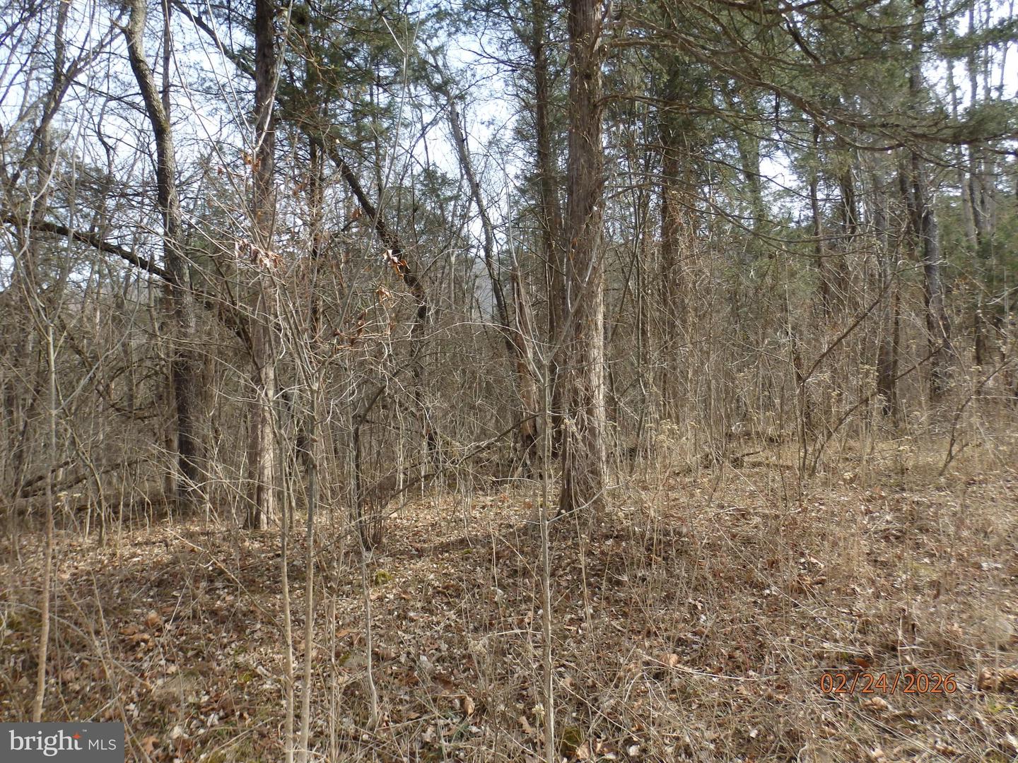 LOT 6 PHASE 1 STONEWALL, WOODSTOCK, Virginia 22664, ,Land,For sale,LOT 6 PHASE 1 STONEWALL,VASH2013724 MLS # VASH2013724
