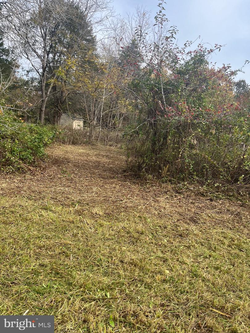 14686 DRY BRIDGE RD, RUTHER GLEN, Virginia 22546, ,Land,For sale,14686 DRY BRIDGE RD,VACV2009638 MLS # VACV2009638