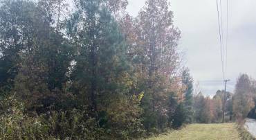 14686 DRY BRIDGE RD, RUTHER GLEN, Virginia 22546, ,Land,For sale,14686 DRY BRIDGE RD,VACV2009638 MLS # VACV2009638