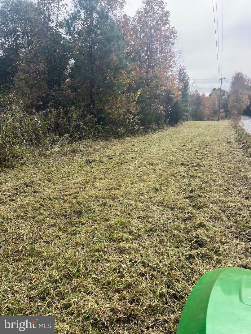 21263 PENDLETON RD, BOWLING GREEN, Virginia 22427, ,Land,For sale,21263 PENDLETON RD,VACV2009640 MLS # VACV2009640